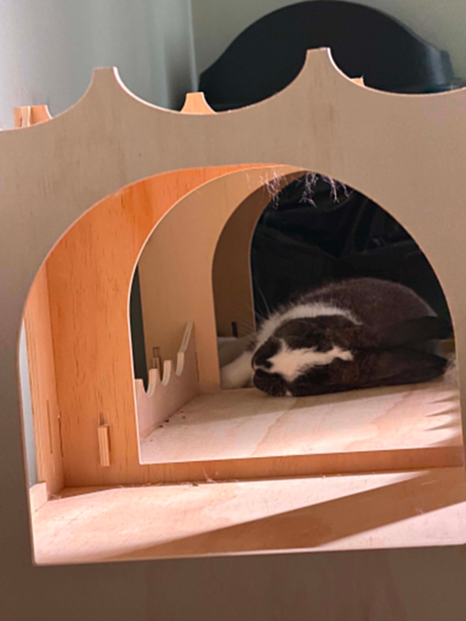Juliette qui dort dans sa cabane