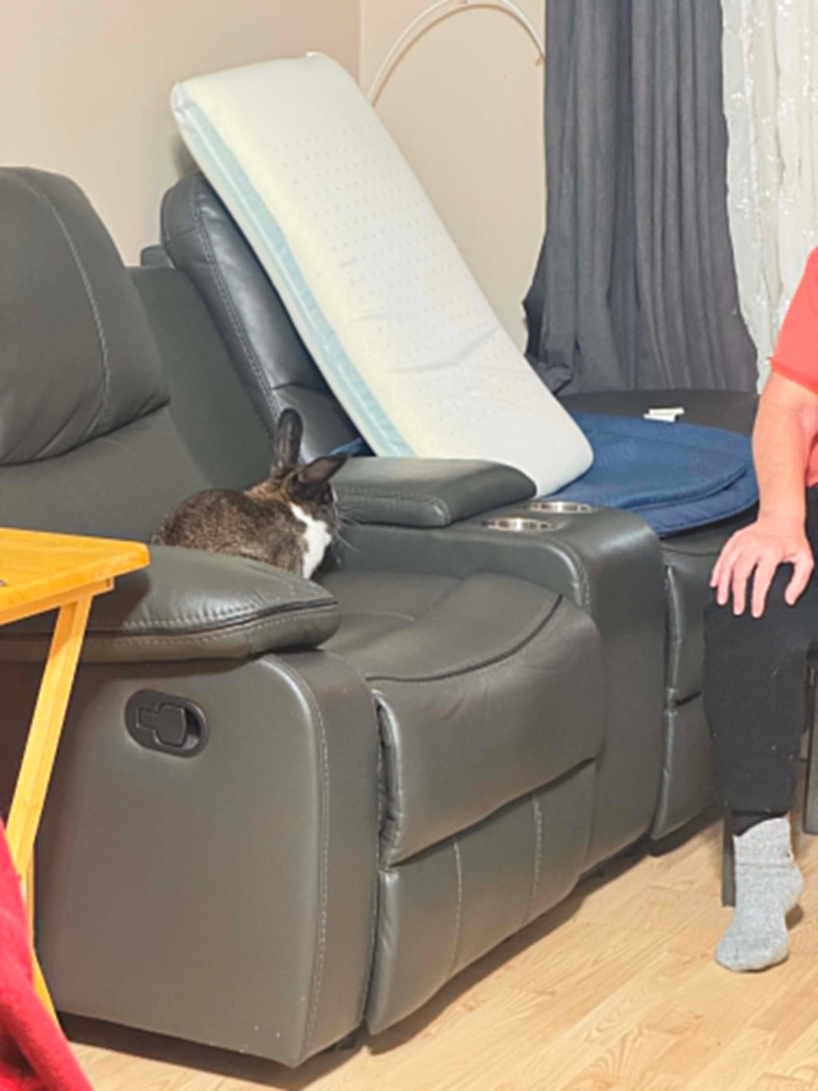 Juliette observe son environnement