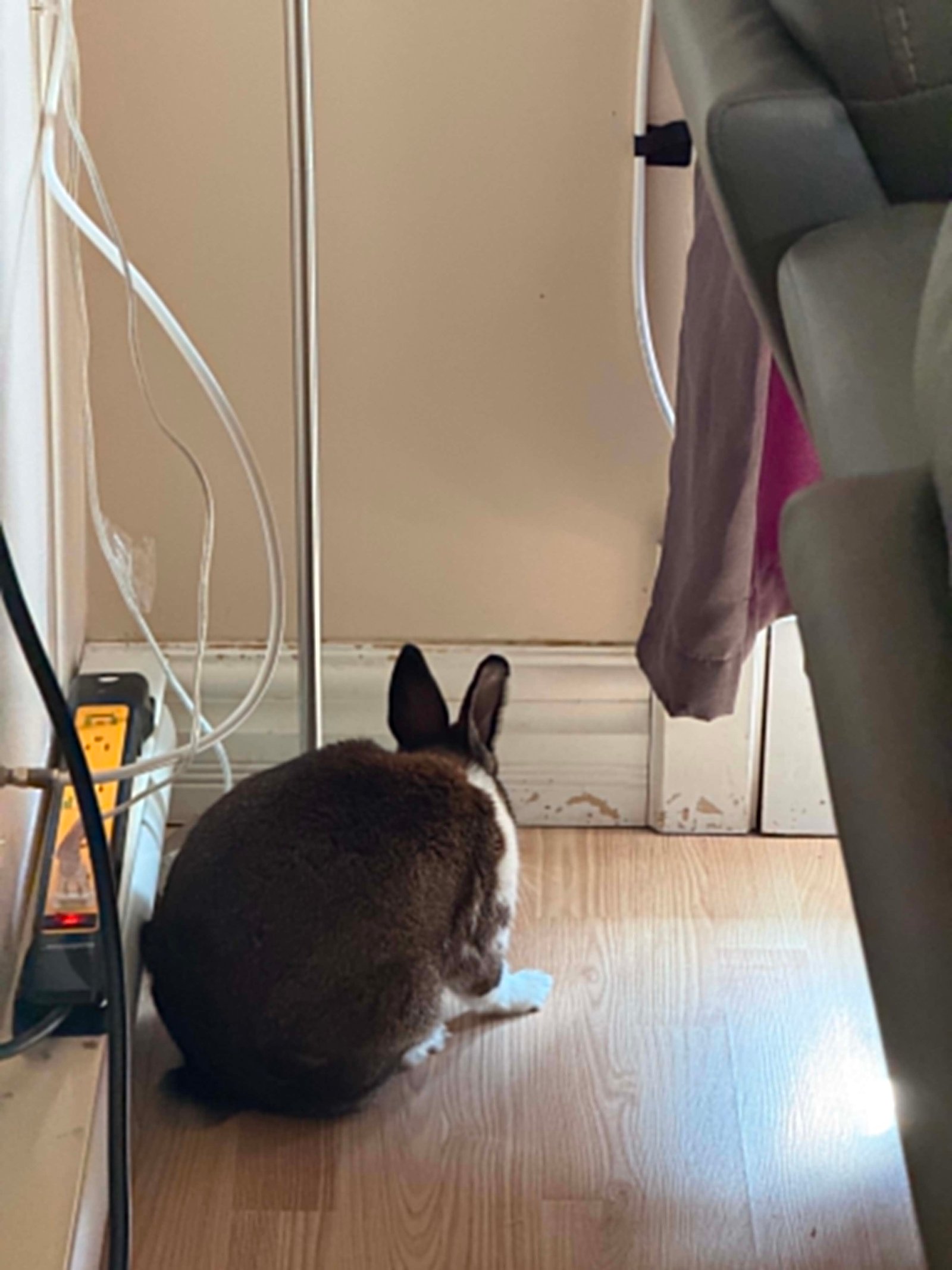 Juliette dans un coin tranquille