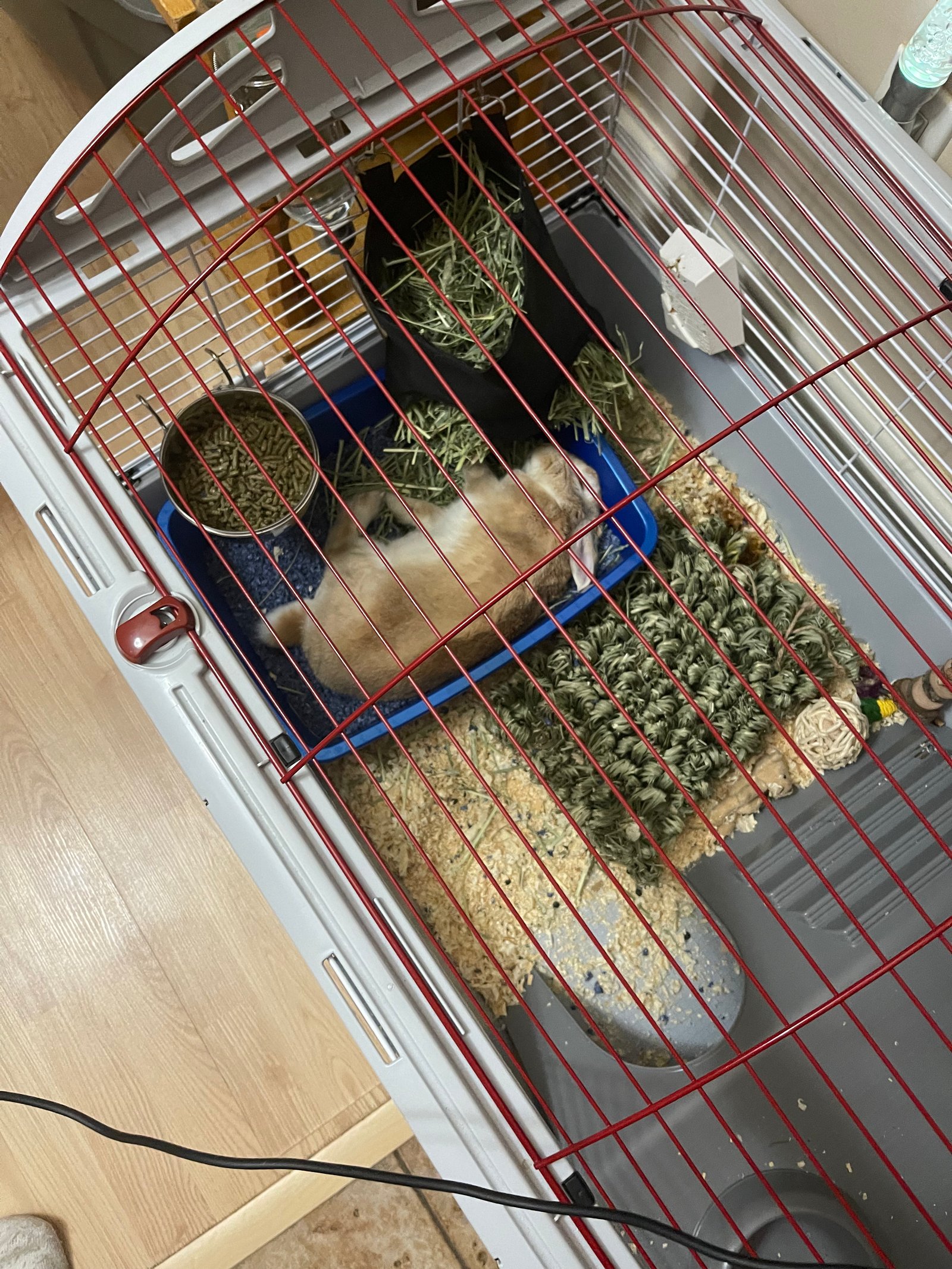 Martin qui se repose