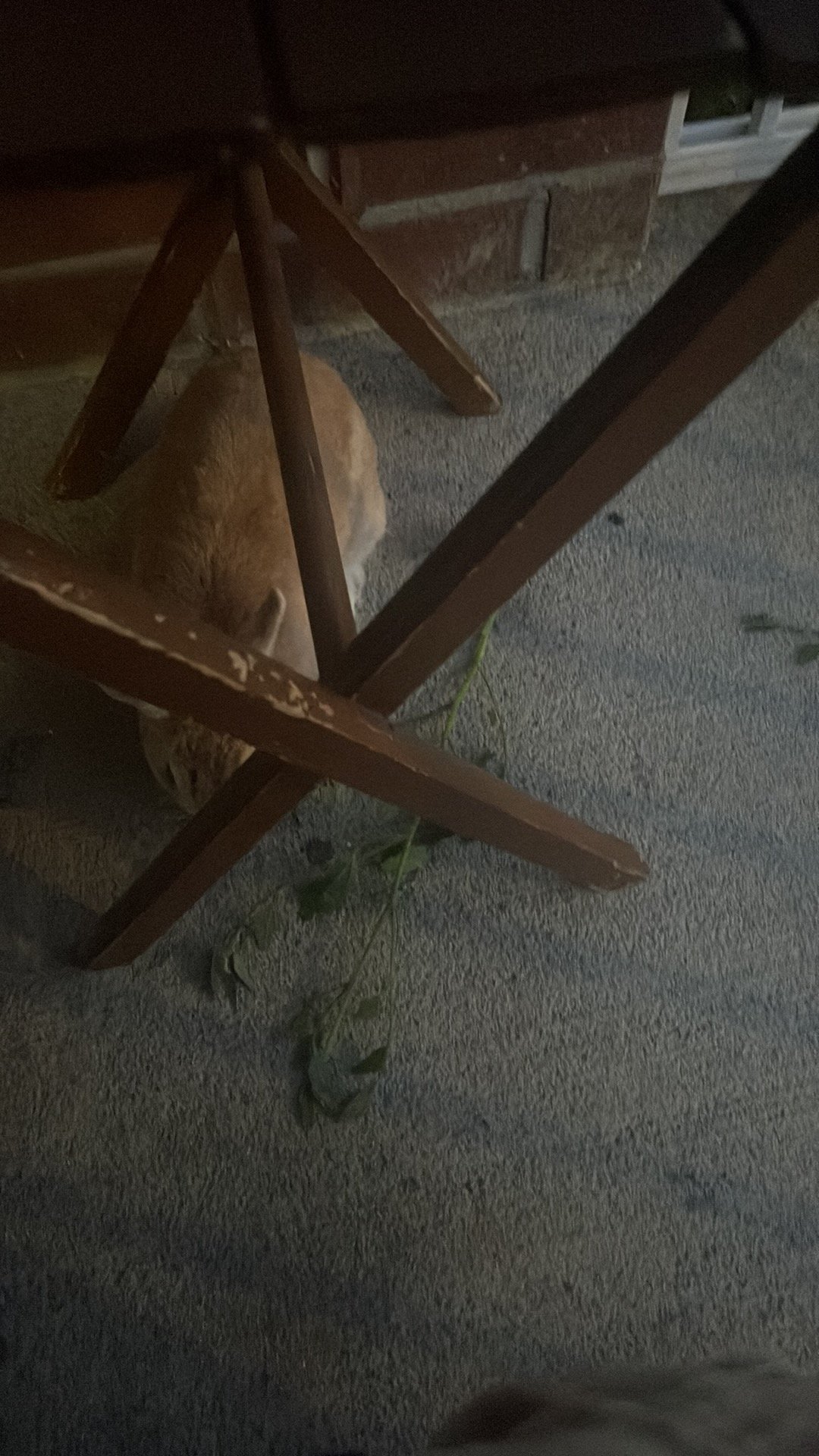 Martin sur le balcon