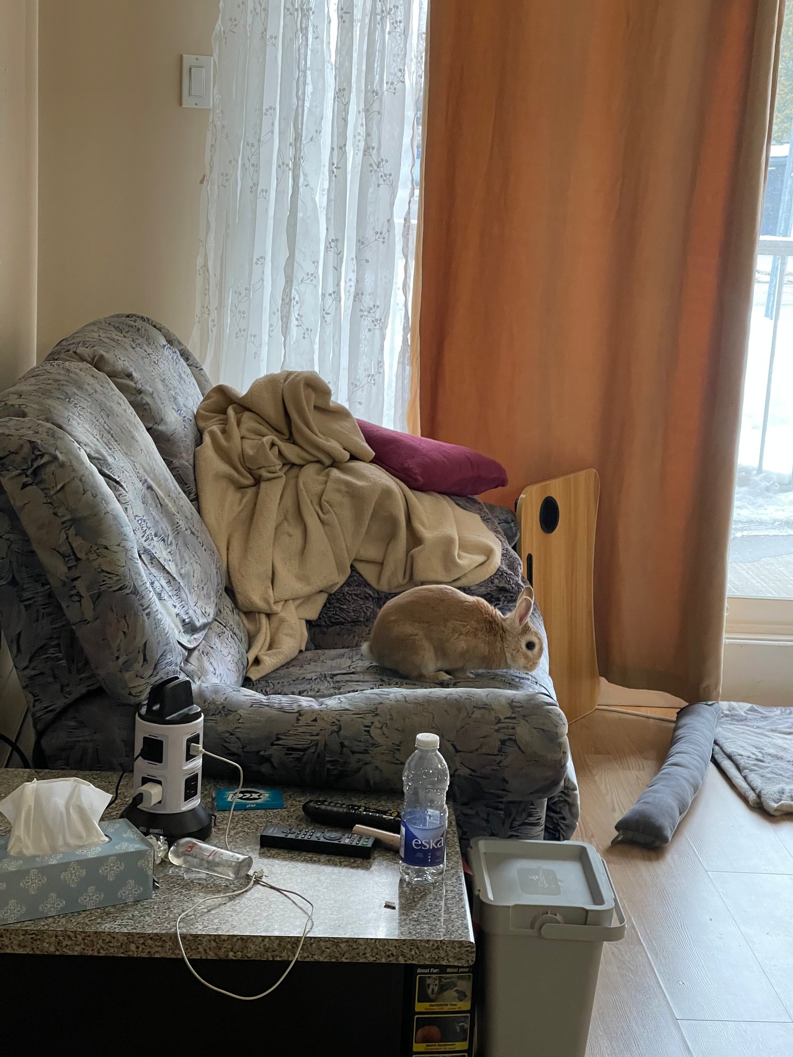 Martin prêt à descendre du divan