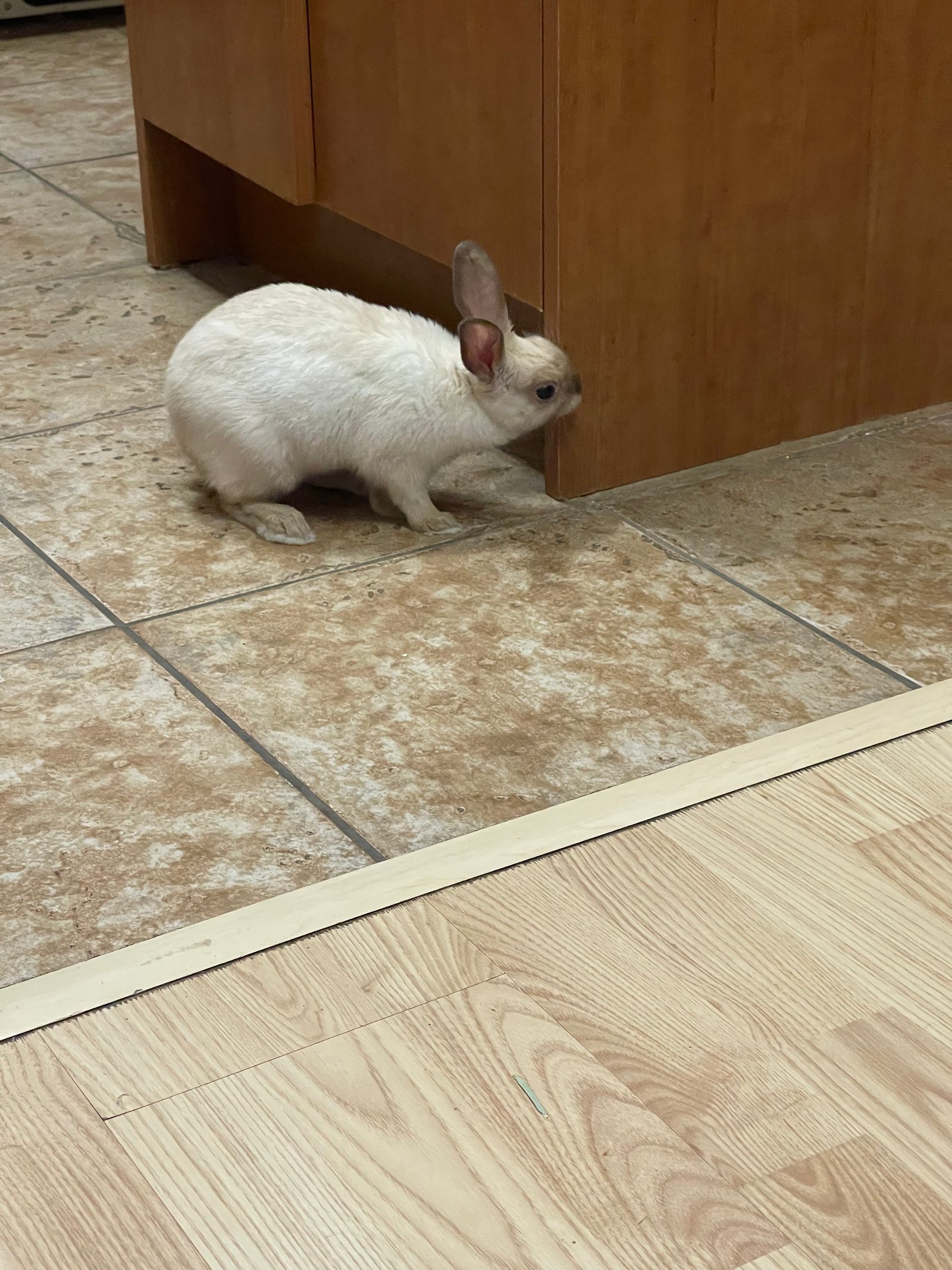 Martine explore la maison