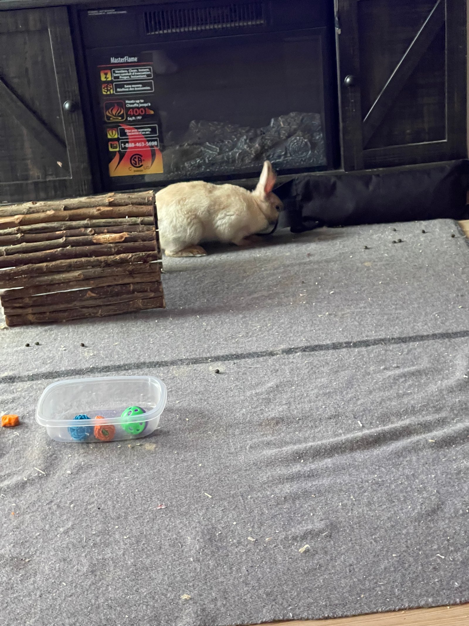 Martine joue et explore