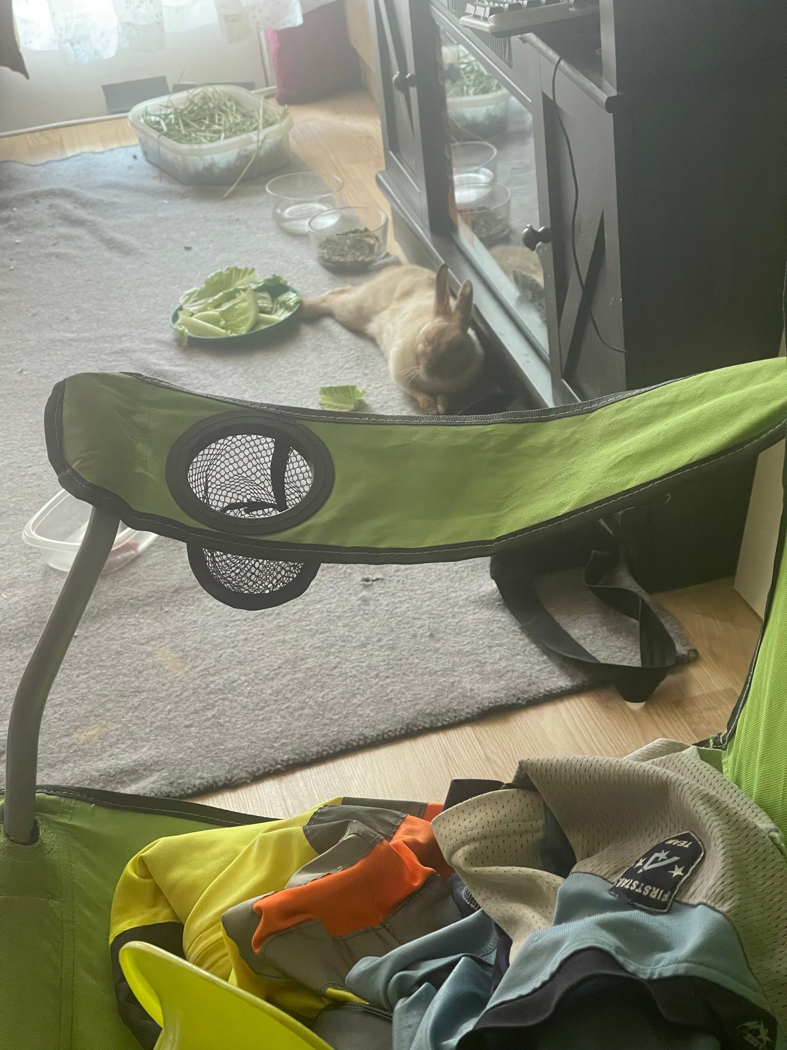 Martine se repose après manger