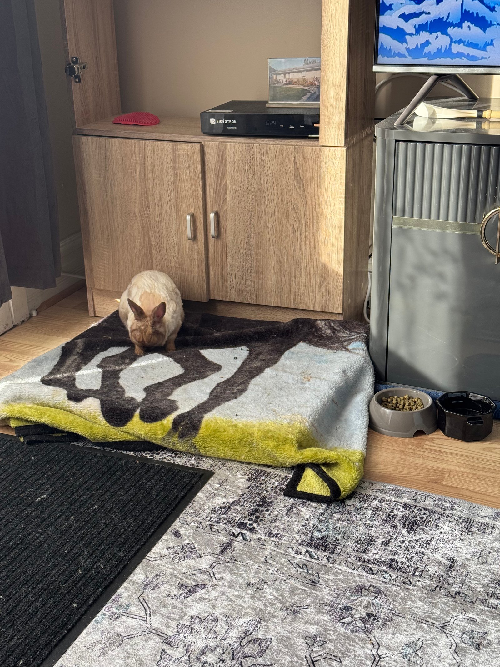 Martine dans son coin tranquille