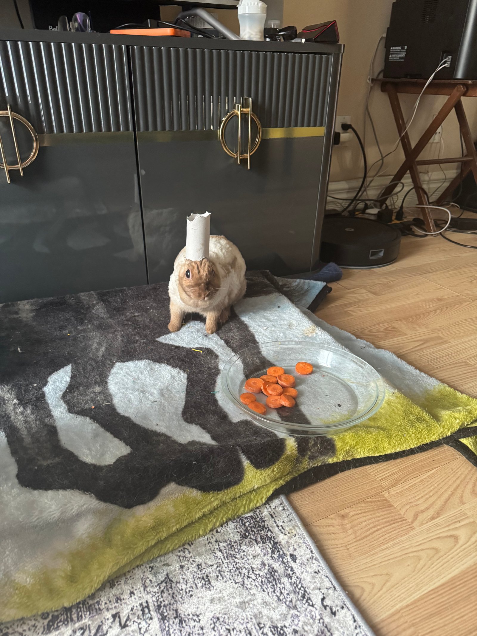 Martine joue avec un rouleau