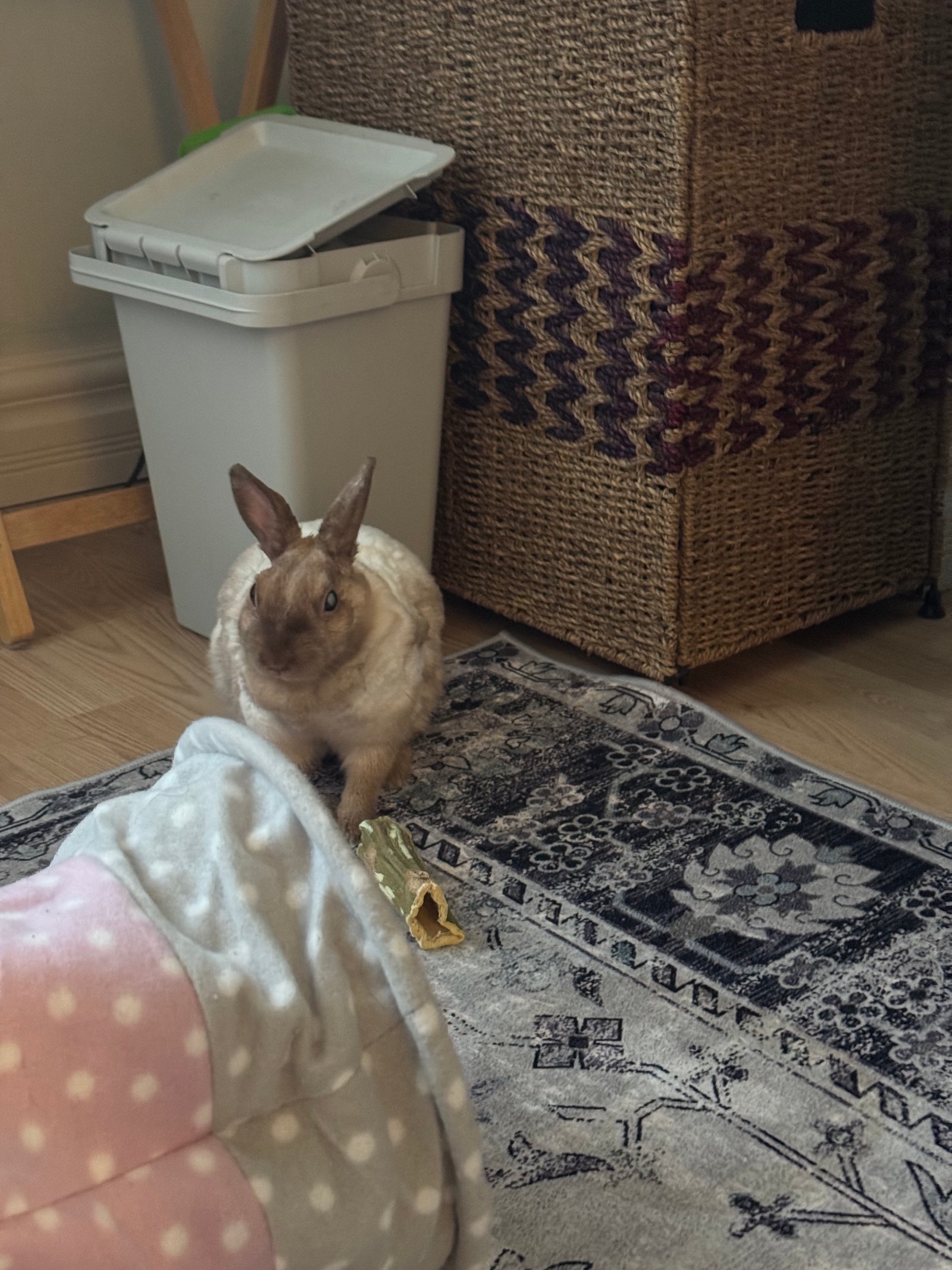 Martine dans son coin